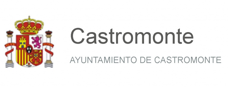 TIMMIS-Ayuntamiento Castromonte